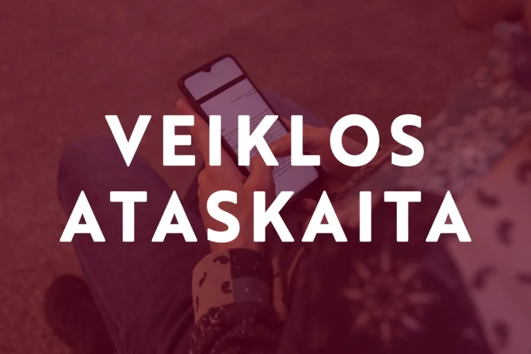 VDU SA veiklos ataskaita: ką nuveikėme per metus?