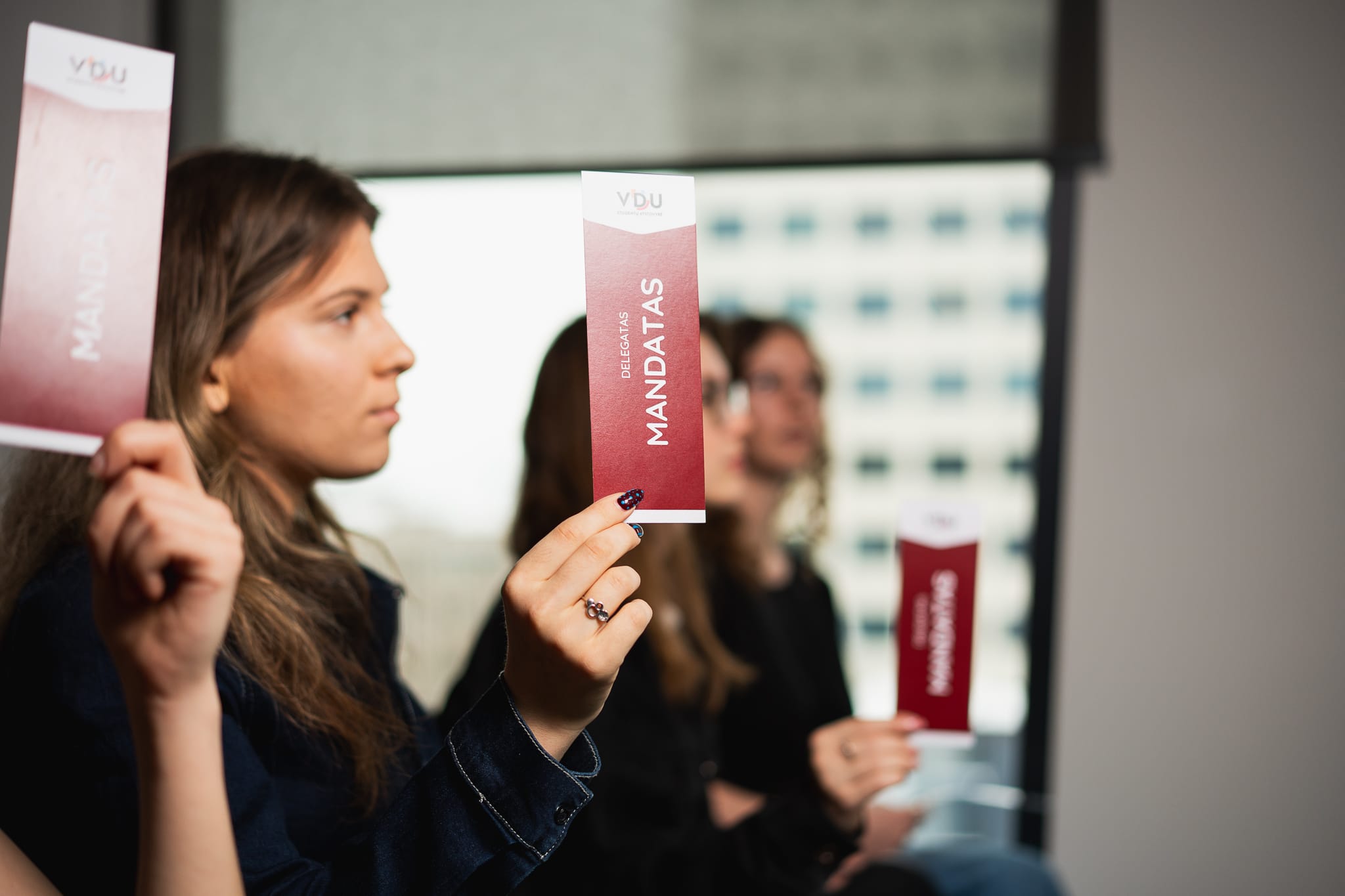 Artėja svarbūs pokyčiai VDU SA: keisis prezidentas, valdyba ir revizija